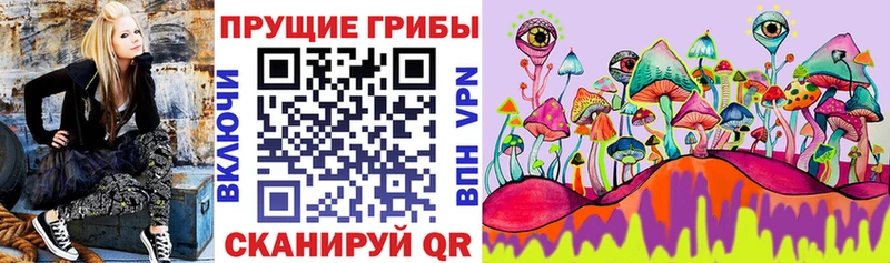 Псилоцибиновые грибы Psilocybine cubensis закладка Белгород